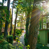 фото из отзыва ID 1800661