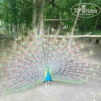 фото из отзыва ID 1802398