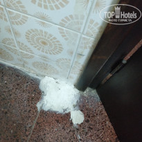 фото из отзыва ID 1802475