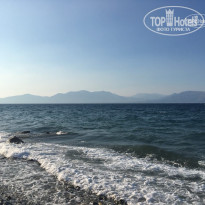 фото из отзыва ID 1802483