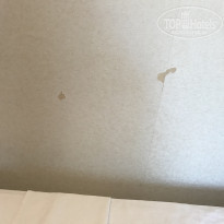 фото из отзыва ID 1802666