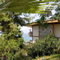 фото из отзыва ID 1802451