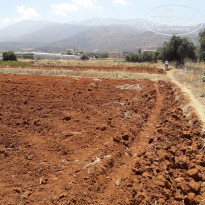 фото из отзыва ID 1802707