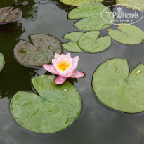 фото из отзыва ID 1803062