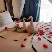 фото из отзыва ID 1803077