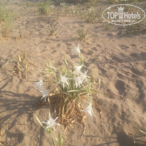 фото из отзыва ID 1803079