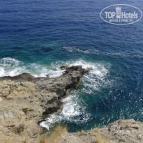 фото из отзыва ID 1803104