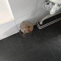 фото из отзыва ID 1803109