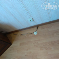 фото из отзыва ID 1803109