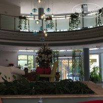 фото из отзыва ID 1803360