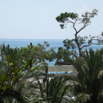 фото из отзыва ID 1803503