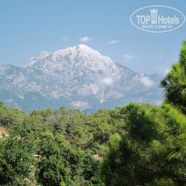 фото из отзыва ID 1803503