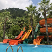 фото из отзыва ID 1803668