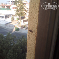 фото из отзыва ID 1803718