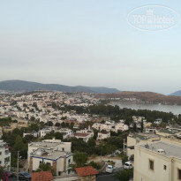 фото из отзыва ID 1803720