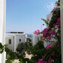 фото из отзыва ID 1803720