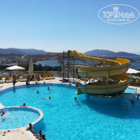 фото из отзыва ID 1803720