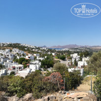 фото из отзыва ID 1803720