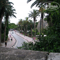 фото из отзыва ID 1803728