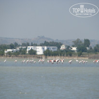 фото из отзыва ID 1803728