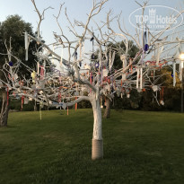 фото из отзыва ID 1803743