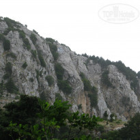 фото из отзыва ID 1803728