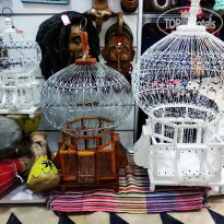 фото из отзыва ID 1803868