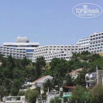 фото из отзыва ID 1803895