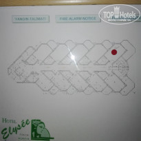 фото из отзыва ID 1804138