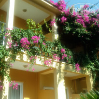 фото из отзыва ID 1804228