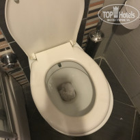 фото из отзыва ID 1804280