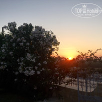 фото из отзыва ID 1804411