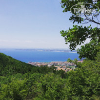 фото из отзыва ID 1804485