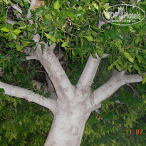 фото из отзыва ID 1804496