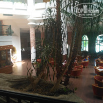 фото из отзыва ID 1804612