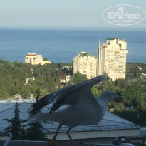 фото из отзыва ID 1804617