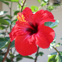 фото из отзыва ID 1804695