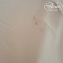 фото из отзыва ID 1804752