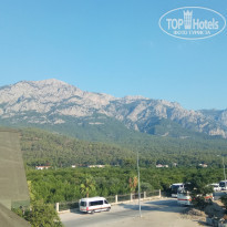 фото из отзыва ID 1804826