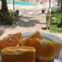 фото из отзыва ID 1804233