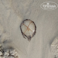 фото из отзыва ID 1804928