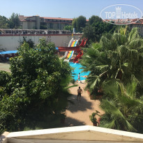 фото из отзыва ID 1805022