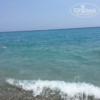 фото из отзыва ID 1805022