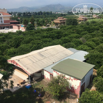 фото из отзыва ID 1805022