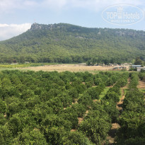 фото из отзыва ID 1805022