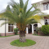 фото из отзыва ID 1805089