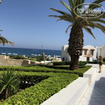 фото из отзыва ID 1805115