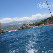 фото из отзыва ID 1805219