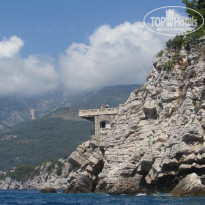 фото из отзыва ID 1805219