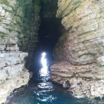 фото из отзыва ID 1805219